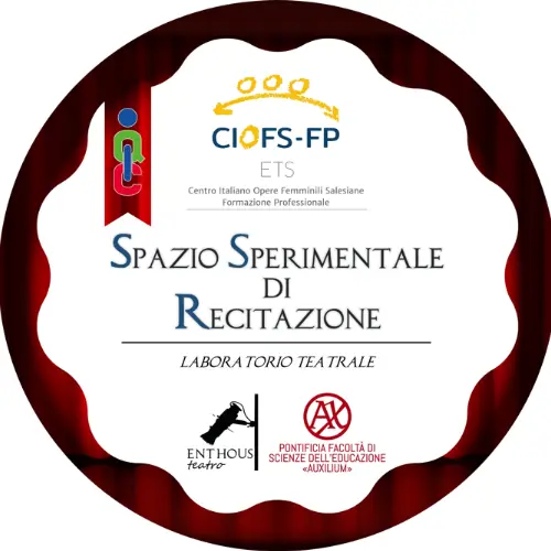 Badge pubblico 50053